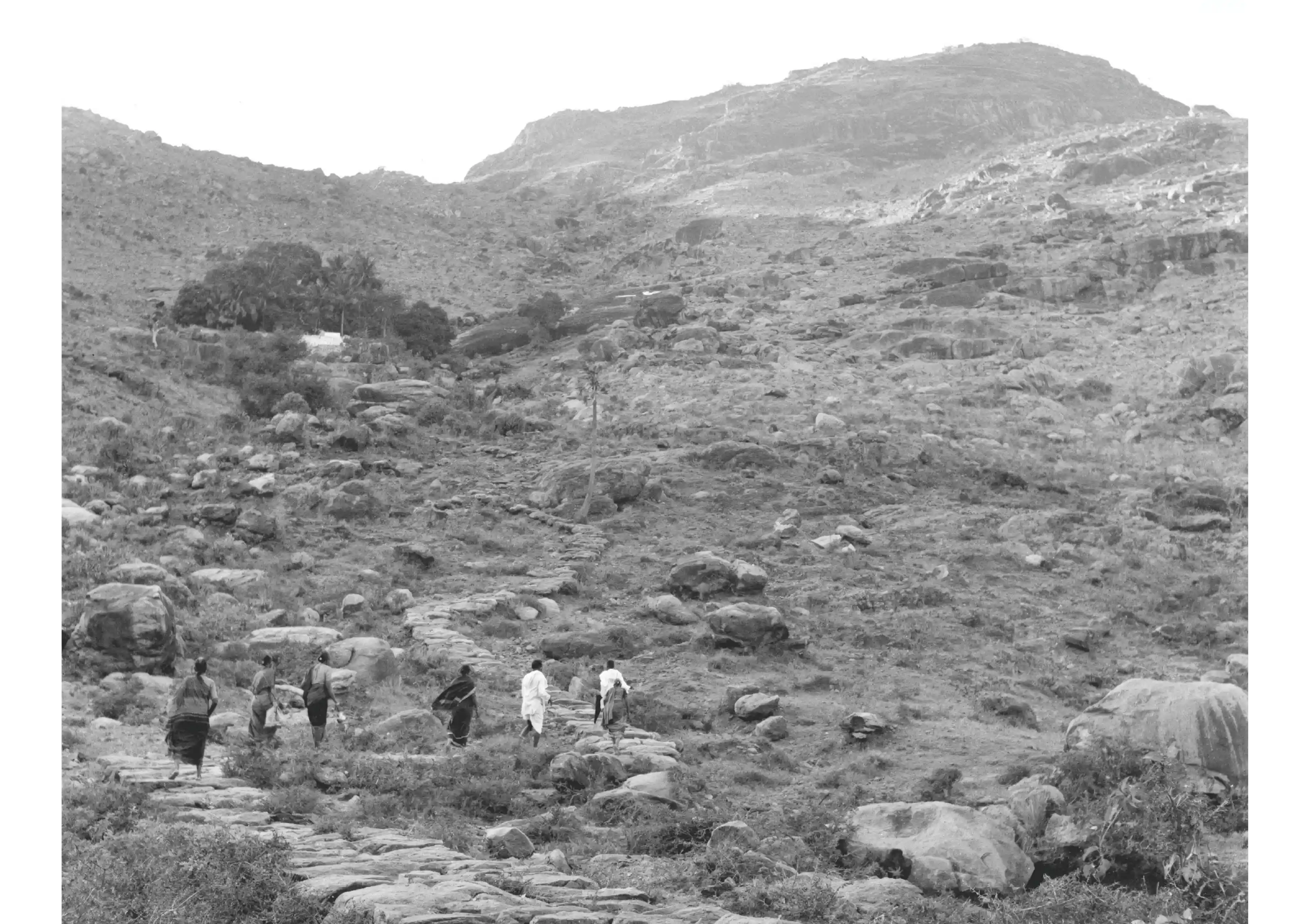 Landscape Terrain View